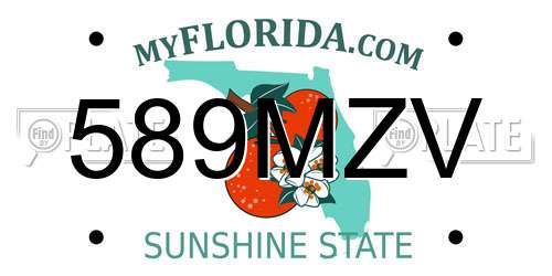 589MZV Florida License Plate
