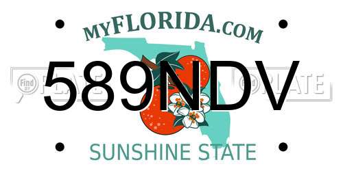 589NDV Florida License Plate