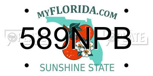 589NPB Florida License Plate