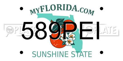 589PEI Florida License Plate