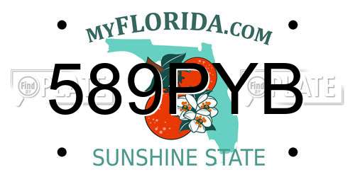 589PYB Florida License Plate