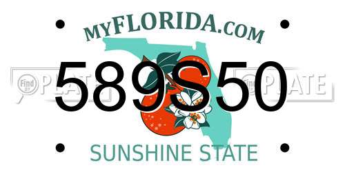 589S50 Florida License Plate