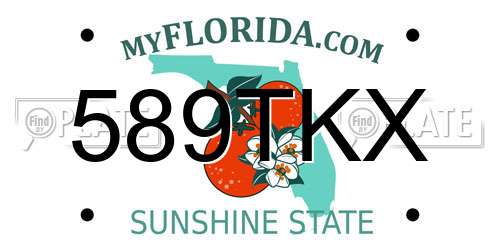 589TKX Florida License Plate