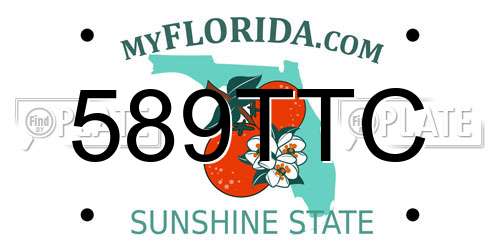 589TTC Florida License Plate