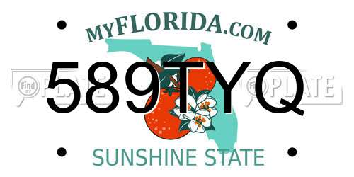 589TYQ Florida License Plate