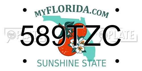 589TZC Florida License Plate