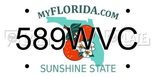 589WVC Florida License Plate