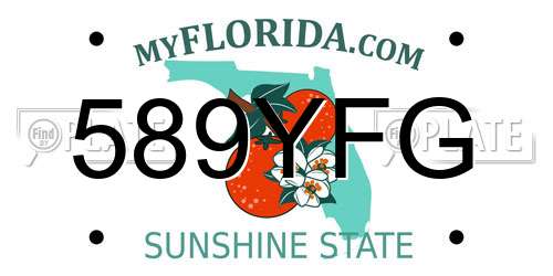 589YFG Florida License Plate