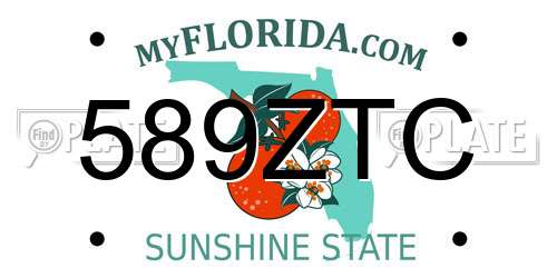 589ZTC Florida License Plate