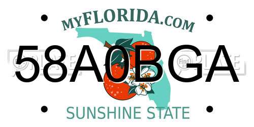 58A0BGA Florida License Plate