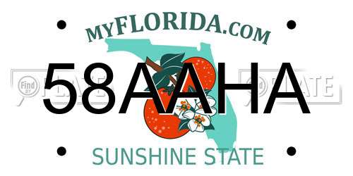58AAHA Florida License Plate