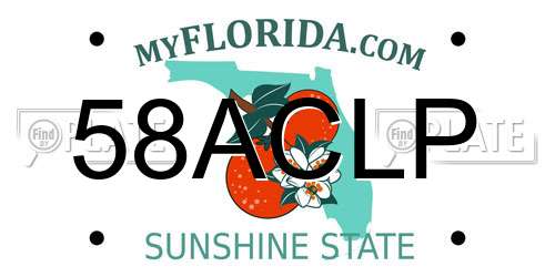 58ACLP Florida License Plate