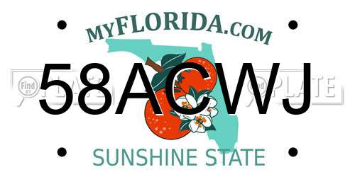 58ACWJ Florida License Plate