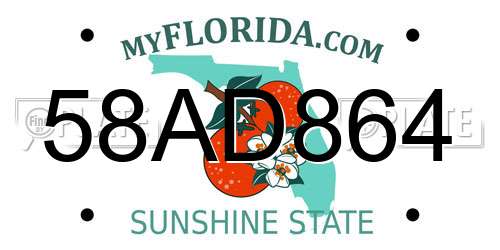 58AD864 Florida License Plate