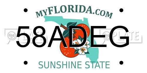 58ADEG Florida License Plate