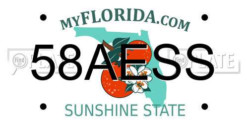58AESS Florida License Plate