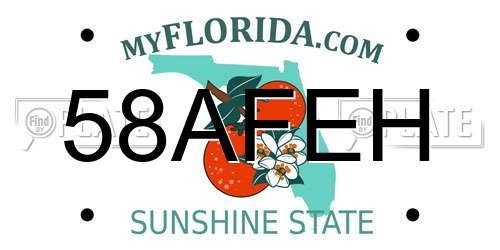 58AFEH Florida License Plate