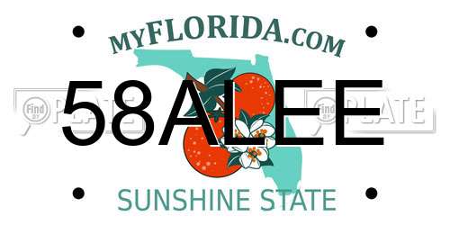 58ALEE Florida License Plate