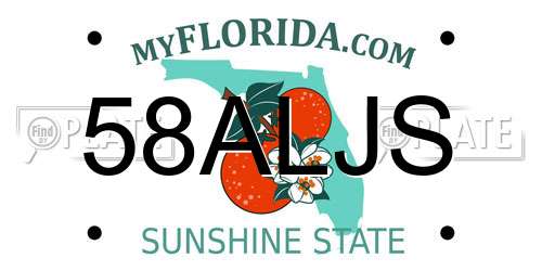 58ALJS Florida License Plate