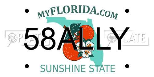 58ALLY Florida License Plate