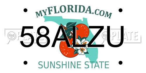 58ALZU Florida License Plate