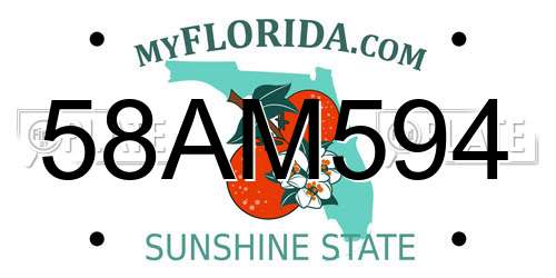 58AM594 Florida License Plate