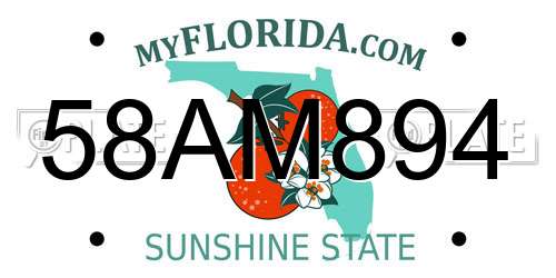 58AM894 Florida License Plate