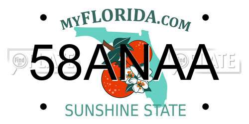 58ANAA Florida License Plate