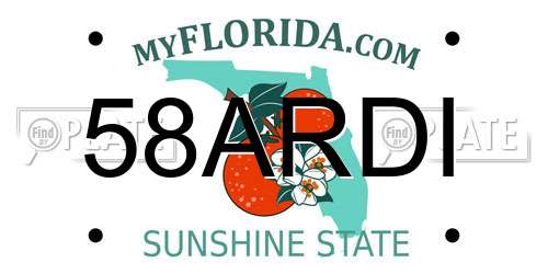 58ARDI Florida License Plate