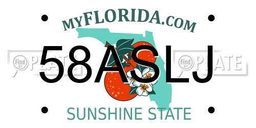 58ASLJ Florida License Plate