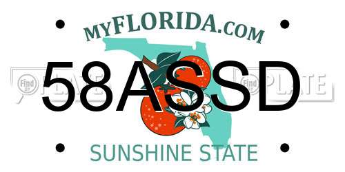 58ASSD Florida License Plate