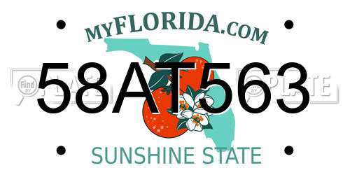 58AT563 Florida License Plate