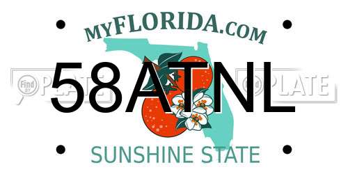 58ATNL Florida License Plate