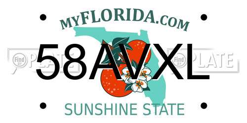 58AVXL Florida License Plate