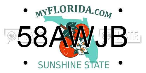 58AWJB Florida License Plate