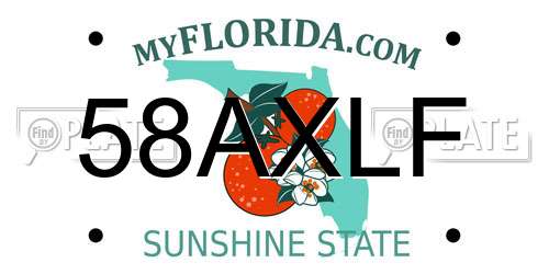 58AXLF Florida License Plate
