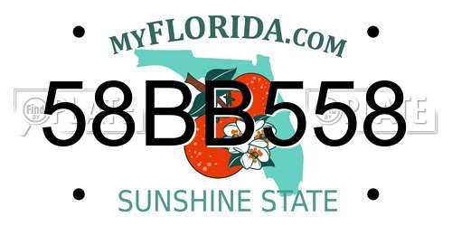 58BB558 Florida License Plate