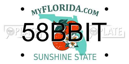 58BBIT Florida License Plate