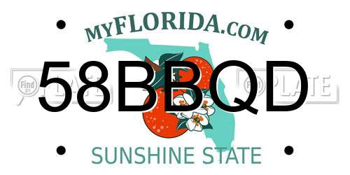 58BBQD Florida License Plate