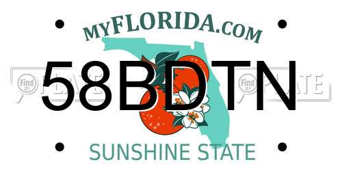 58BDTN Florida License Plate