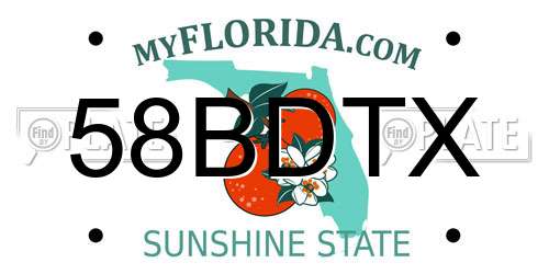 58BDTX Florida License Plate