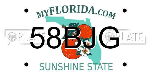 58BJG Florida License Plate