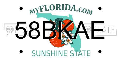 58BKAE Florida License Plate