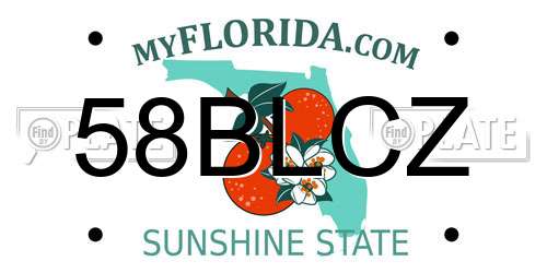 58BLCZ Florida License Plate