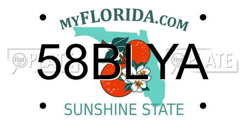 58BLYA Florida License Plate