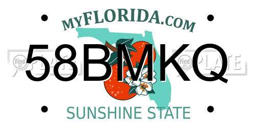 58BMKQ Florida License Plate