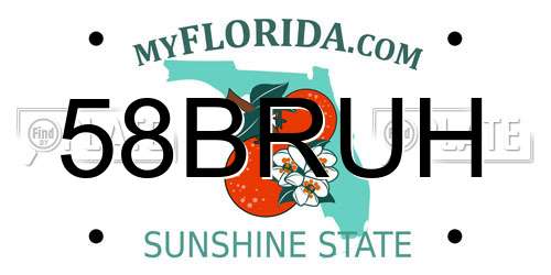 58BRUH Florida License Plate