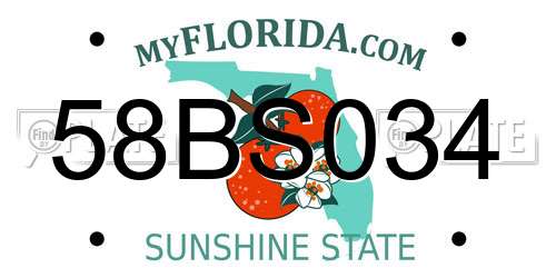 58BS034 Florida License Plate