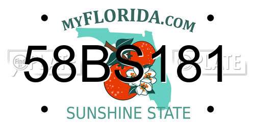 58BS181 Florida License Plate