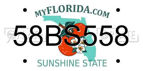 58BS558 Florida License Plate